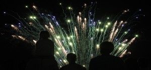 Brisol Zoo fireworks display