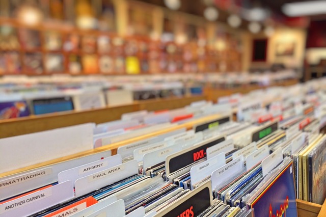 Record Shop shelves