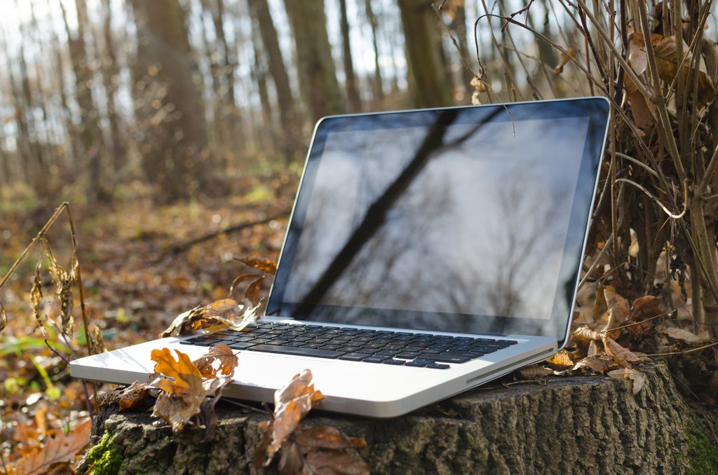 The wild laptop, resplendant in its natural habitat