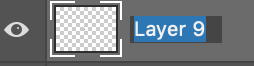 screen shot of Photoshop layer