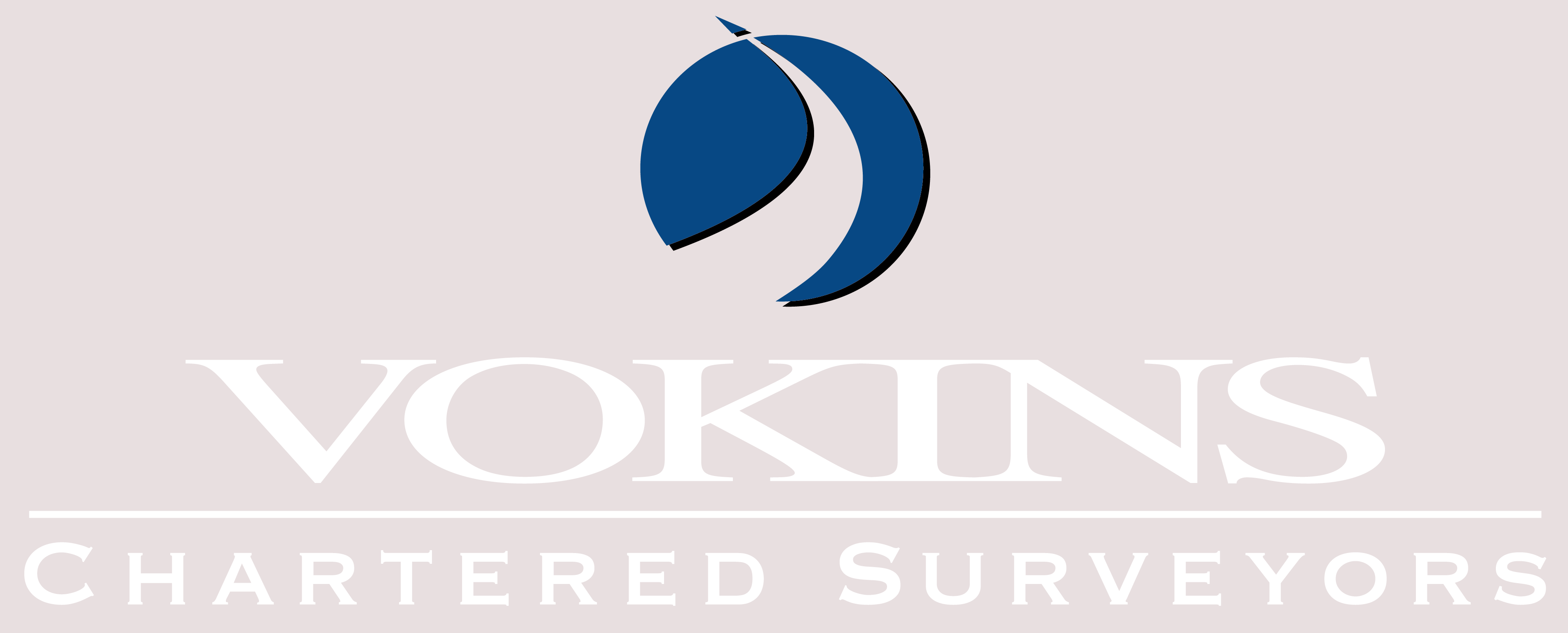 Vokins_Logo_CMYK_White_Letters_Cropped