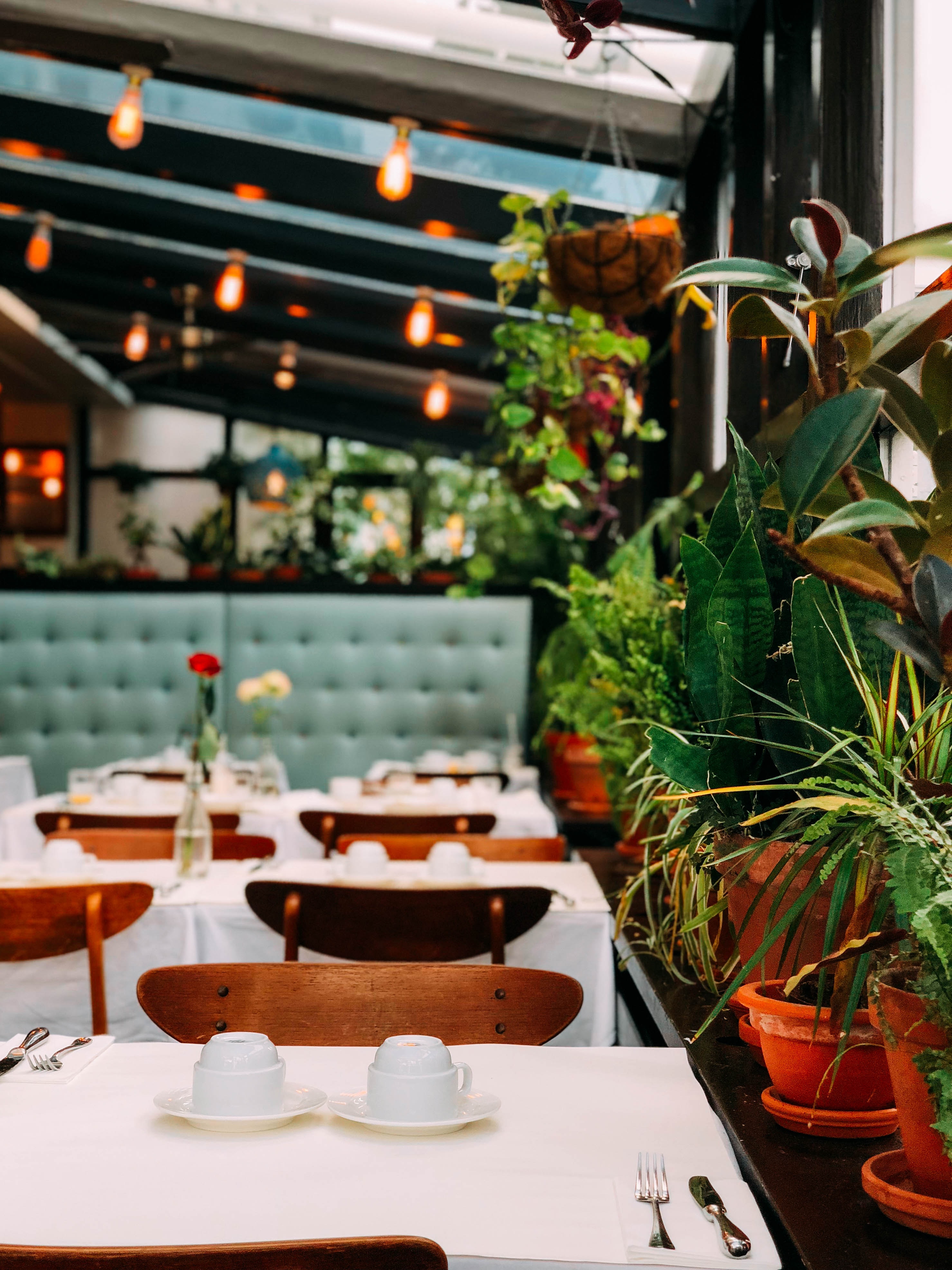 A restaurant with tables and chairs and hanging lights. Plants along the side