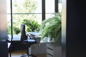 desk and chair by a window with a plant