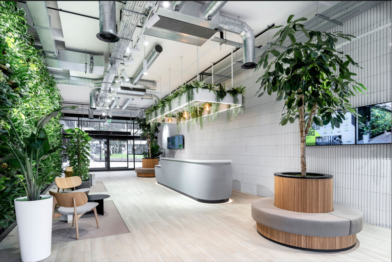 office entrance with lots of plants