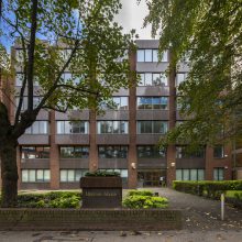 office building behind trees