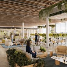 breakout space with seating areas and plant displays