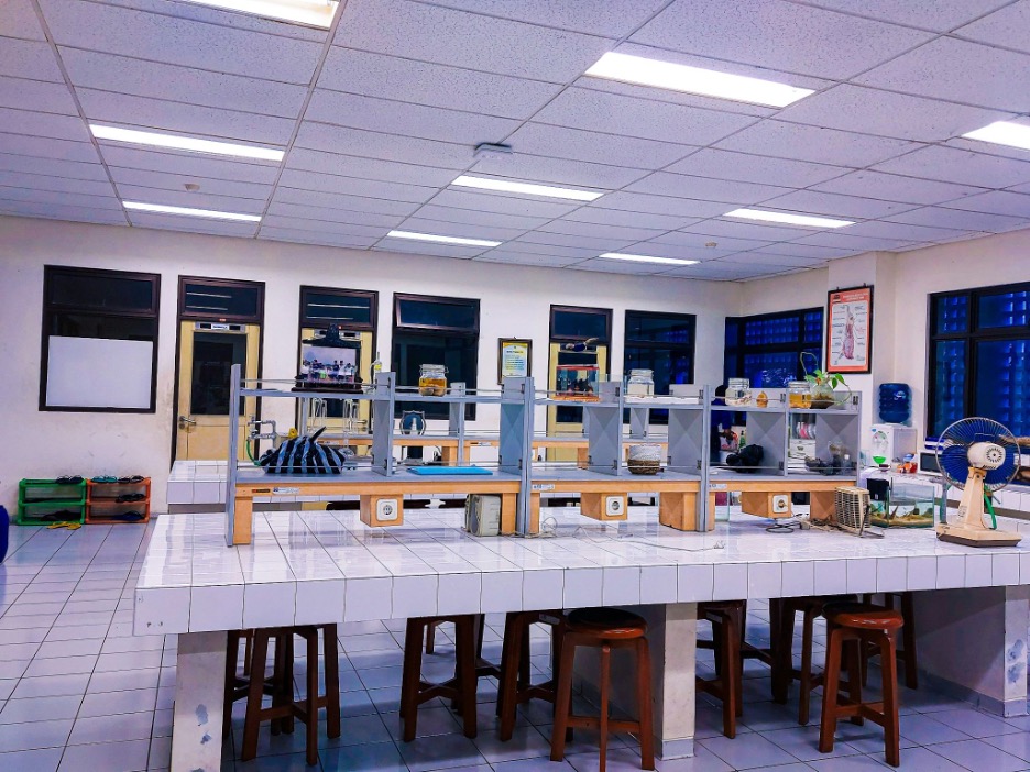 row of laboratory desks