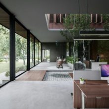office space with full length windows and green plants surrounding modern desks