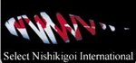 Nishikigoi International Ltd